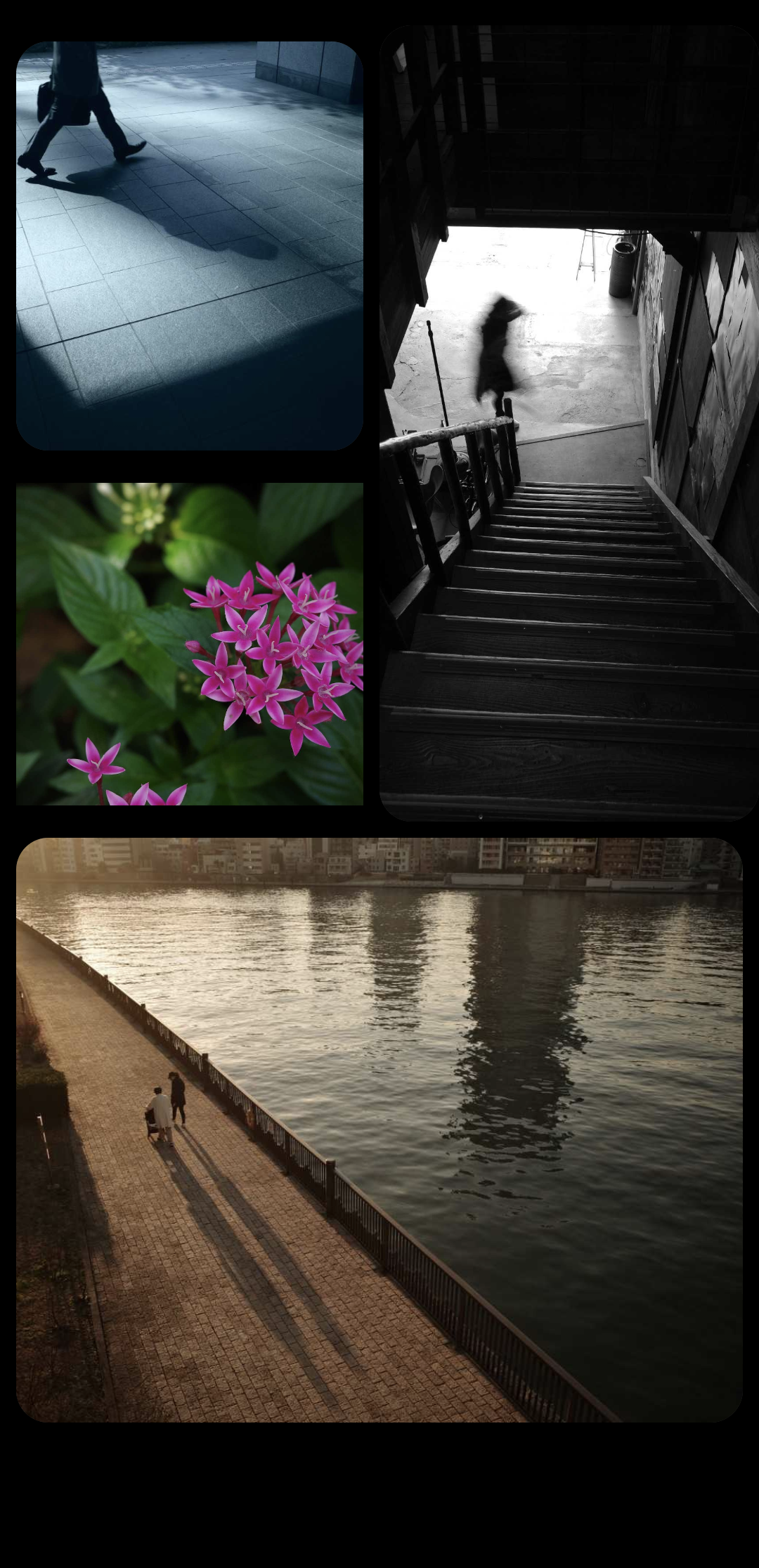 Widget display screen