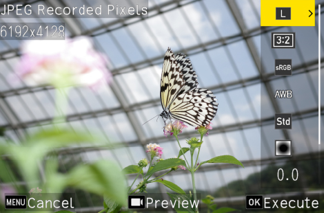 Image illustrating the above content