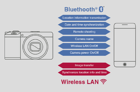 Image illustrating the above content