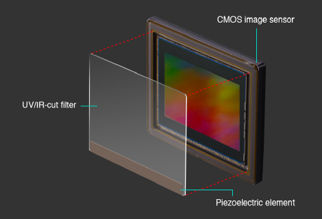 Image illustrating the above content